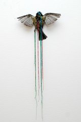 Untitled (bird)<br />