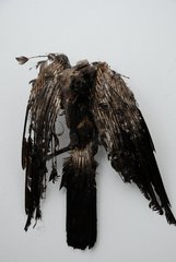 Untitled (bird, tar)<br />