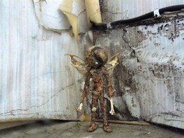 Untitled (doll 1)<br />