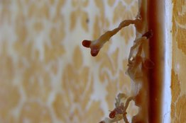 Mater-ial<br />(detail)