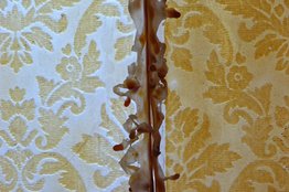 Mater-ial<br />(detail)