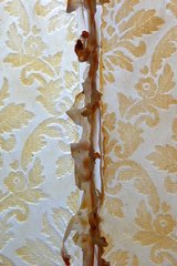 Mater-ial<br />(detail)