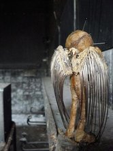 Untitled (doll 4)<br />