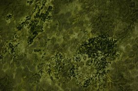 Wallpaper series (detail)<br />