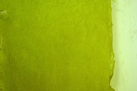 Wallpaper series (detail)<br />